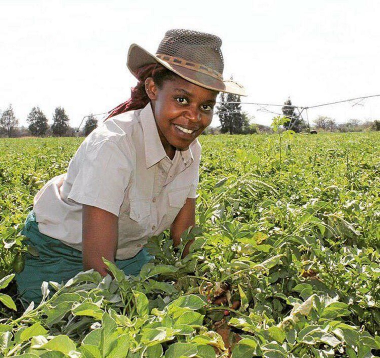 It’s a lie. White farmers not responsible for Zimbabwe’s recovering agriculture