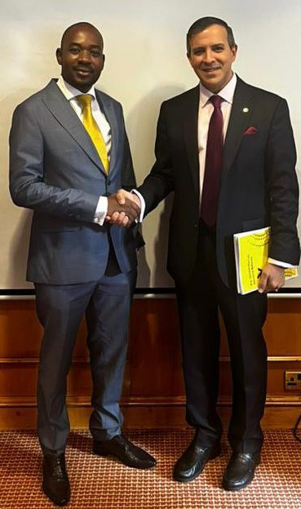 Did Chamisa support Zimbabwe’s re-admission to the Commonwealth?