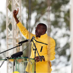 Thousands hail Chamisa at first CCC rally