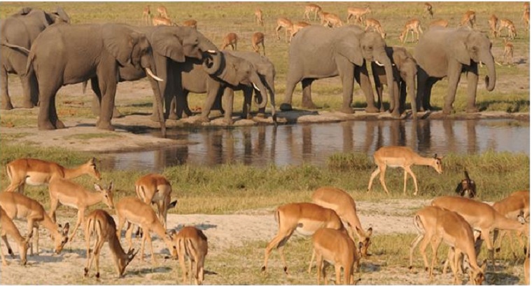 Zimbabwe bans mining in wildlife parks