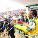 Fear enough to secure Mnangagwa a victory