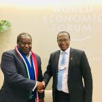 Is Mthuli Ncube a fraud and political moron?