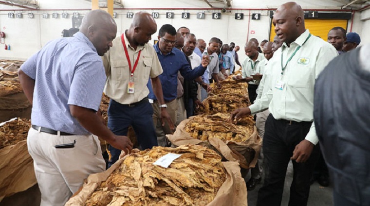 Zimbabwe Tobacco Sales To Rise To 200 Million Kg Targeting 300 Million Kg By 2025 The Insider 