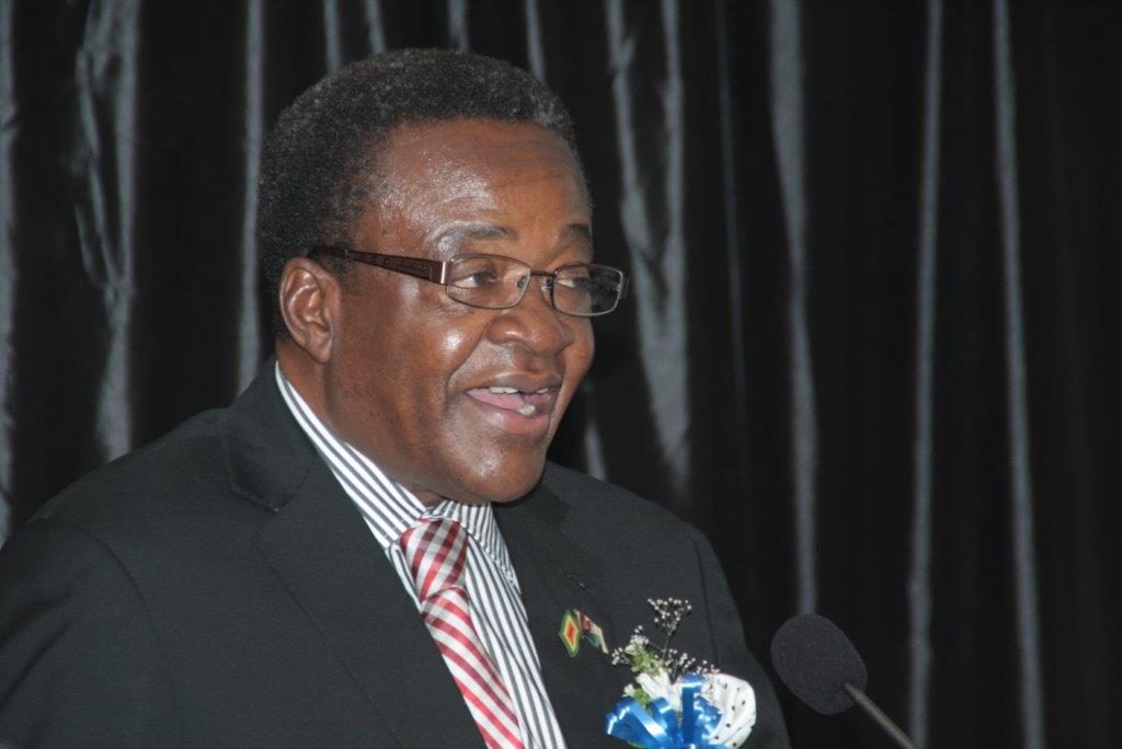 Webster Shamu says Mnangagwa is a man of action